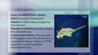 876622339-5-Phases-of-Fish-Culturbnjbne.pptx