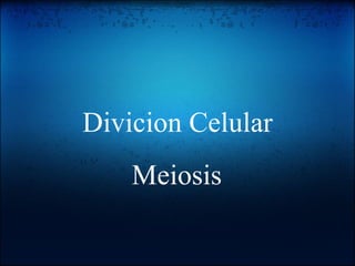 Divicion Celular Meiosis 