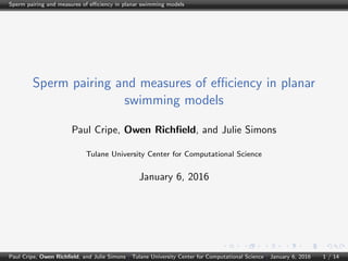 Sperm pairing and measures of eﬃciency in planar swimming models
Sperm pairing and measures of eﬃciency in planar
swimming models
Paul Cripe, Owen Richﬁeld, and Julie Simons
Tulane University Center for Computational Science
January 6, 2016
Paul Cripe, Owen Richﬁeld, and Julie Simons | Tulane University Center for Computational Science | January 6, 2016 1 / 14
 