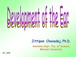 Jittipan Chavadej, Ph.D.
Anatomy Dept., Fac. of Science
Mahidol University
yr.,2000
 