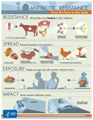 ANTIBIOTIC RESISTANCE
from the farm to the table
RESISTANCE All animals carry bacteria in their intestines
Antibiotics are given to animals
Antibiotics kill
most bacteria
But resistant bacteria
survive and multiply
SPREAD Resistant bacteria can spread to...
animal products
produce through
contaminated water or soil
prepared food through
contaminated surfaces the environment when animals poop
EXPOSURE People can get sick with resistant infections from...
contaminated food contaminated environment
IMPACT Some resistant infections cause...
mild illness severe illness and
may lead to death
CS246635
Learn more about antibiotic resistance and food safety at www.cdc.gov/foodsafety/antibiotic-resistance.html
 