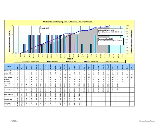 milestone report example