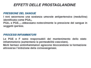 8(7)a eicosanoidi press art PPT