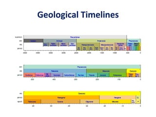 Geological Timelines
 