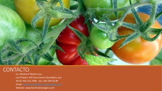 CONTACTO
Lic. Martha P. Rocha Luna
Luis Pasteur 143 Zona Centro Querétaro, qro.
Tel Of. 442 212 7598 Cel.: 442 545 62 89
Email: martha.rocha@fcontrolstrategies.com
Website: www.fcontrolstrategies.com
 