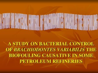 A STUDY ON BACTERIAL CONTROL
OF BRACHIODONTES VARIABILIS THE
BIOFOULING CAUSATIVE IN SOME
PETROLEUM REFINERIES
 