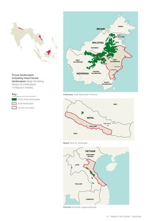 8 | Impact in the Forests | Summary
Kathmandu
NEPAL
INDIA
TIBET
VIETNAM
LAOS
CAMBODIA
THAILAND
EAST
KALIMANTAN
CENTRAL
KALIMANTAN
SOUTH
KALIMANTAN
WEST
KALIMANTAN
MALAYSIA
INDONESIA
SABAH
SARAWAK
BRUNEI
Samarinda
Balikpapan
TERAI ARC
NORTH
KALIMANTAN
NORTHERN
REGION
Indonesia East Kalimantan Province
Nepal Terai arc landscape
Vietnam Annamite range landscape
Focus landscapes
including intact forest
landscapes (large remaining
blocks of undisturbed
contiguous forests).
Key
focal landscapes
country boundary
intact forest landscapes
 