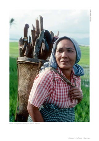 9 | Impact in the Forests | Summary
©MauriRautkari/WWF-Canon
Woman carrying fuelwood Kerinci area Sumatra, Indonesia.
 