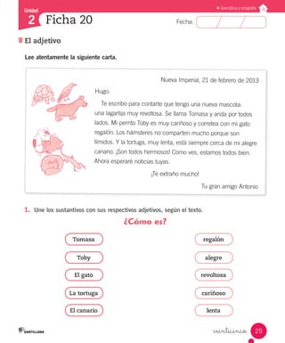 Unidad
Fecha:
25
2
Gramática y ortografía
El adjetivo
Ficha 20
veinticinco
Lee atentamente la siguiente carta.
Nueva Imperial, 21 de febrero de 2013
Hugo:
Te escribo para contarte que tengo una nueva mascota:
una lagartija muy revoltosa. Se llama Tomasa y anda por todos
lados. Mi perrito Toby es muy cariñoso y corretea con mi gato
regalón. Los hámsteres no comparten mucho porque son
tímidos. Y la tortuga, muy lenta, está siempre cerca de mi alegre
canario. ¡Son todos hermosos! Como ves, estamos todos bien.
Ahora esperaré noticias tuyas.
				 ¡Te extraño mucho!
Tu gran amigo Antonio
1.	 Une los sustantivos con sus respectivos adjetivos, según el texto.
¿Cómo es?
Tomasa
Toby
El gato
regalón
alegre
revoltosa
La tortuga cariñoso
El canario lenta
 
