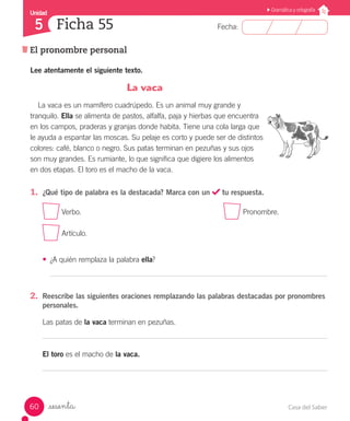 Casa del Saber60
Fecha:
Unidad
5
Gramática y ortografía
El pronombre personal
Ficha 55
_sesenta
Lee atentamente el siguiente texto.
					 La vaca
La vaca es un mamífero cuadrúpedo. Es un animal muy grande y
tranquilo. Ella se alimenta de pastos, alfalfa, paja y hierbas que encuentra
en los campos, praderas y granjas donde habita. Tiene una cola larga que
le ayuda a espantar las moscas. Su pelaje es corto y puede ser de distintos
colores: café, blanco o negro. Sus patas terminan en pezuñas y sus ojos
son muy grandes. Es rumiante, lo que significa que digiere los alimentos
en dos etapas. El toro es el macho de la vaca.
1.	 ¿Qué tipo de palabra es la destacada? Marca con un tu respuesta.
Verbo. 								 Pronombre.
Artículo.
•	 ¿A quién remplaza la palabra ella?
2.	 Reescribe las siguientes oraciones remplazando las palabras destacadas por pronombres
personales.
Las patas de la vaca terminan en pezuñas.
El toro es el macho de la vaca.
 