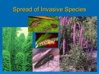 Spread of Invasive Species 
 