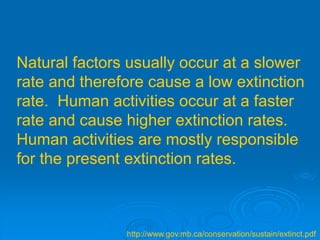 Natural factors usually occur at a slower 
rate and therefore cause a low extinction 
rate. Human activities occur at a faster 
rate and cause higher extinction rates. 
Human activities are mostly responsible 
for the present extinction rates. 
http://www.gov.mb.ca/conservation/sustain/extinct.pdf 
 