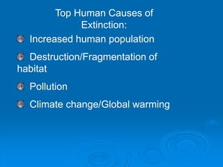 Top Human Causes of 
Extinction: 
Increased human population 
Destruction/Fragmentation of 
habitat 
Pollution 
Climate change/Global warming 
 