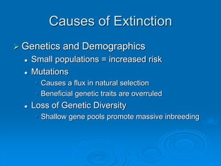 Causes of Extinction 
 Genetics and Demographics 
 Small populations = increased risk 
 Mutations 
• Causes a flux in natural selection 
• Beneficial genetic traits are overruled 
 Loss of Genetic Diversity 
• Shallow gene pools promote massive inbreeding 
 