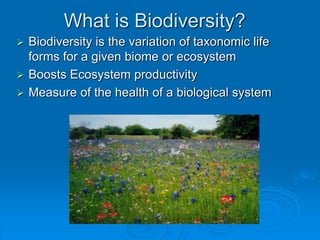What is Biodiversity? 
 Biodiversity is the variation of taxonomic life 
forms for a given biome or ecosystem 
 Boosts Ecosystem productivity 
 Measure of the health of a biological system 
 