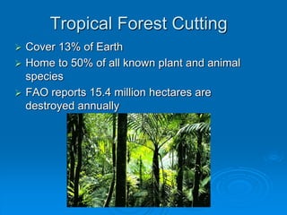 Tropical Forest Cutting 
 Cover 13% of Earth 
 Home to 50% of all known plant and animal 
species 
 FAO reports 15.4 million hectares are 
destroyed annually 
 