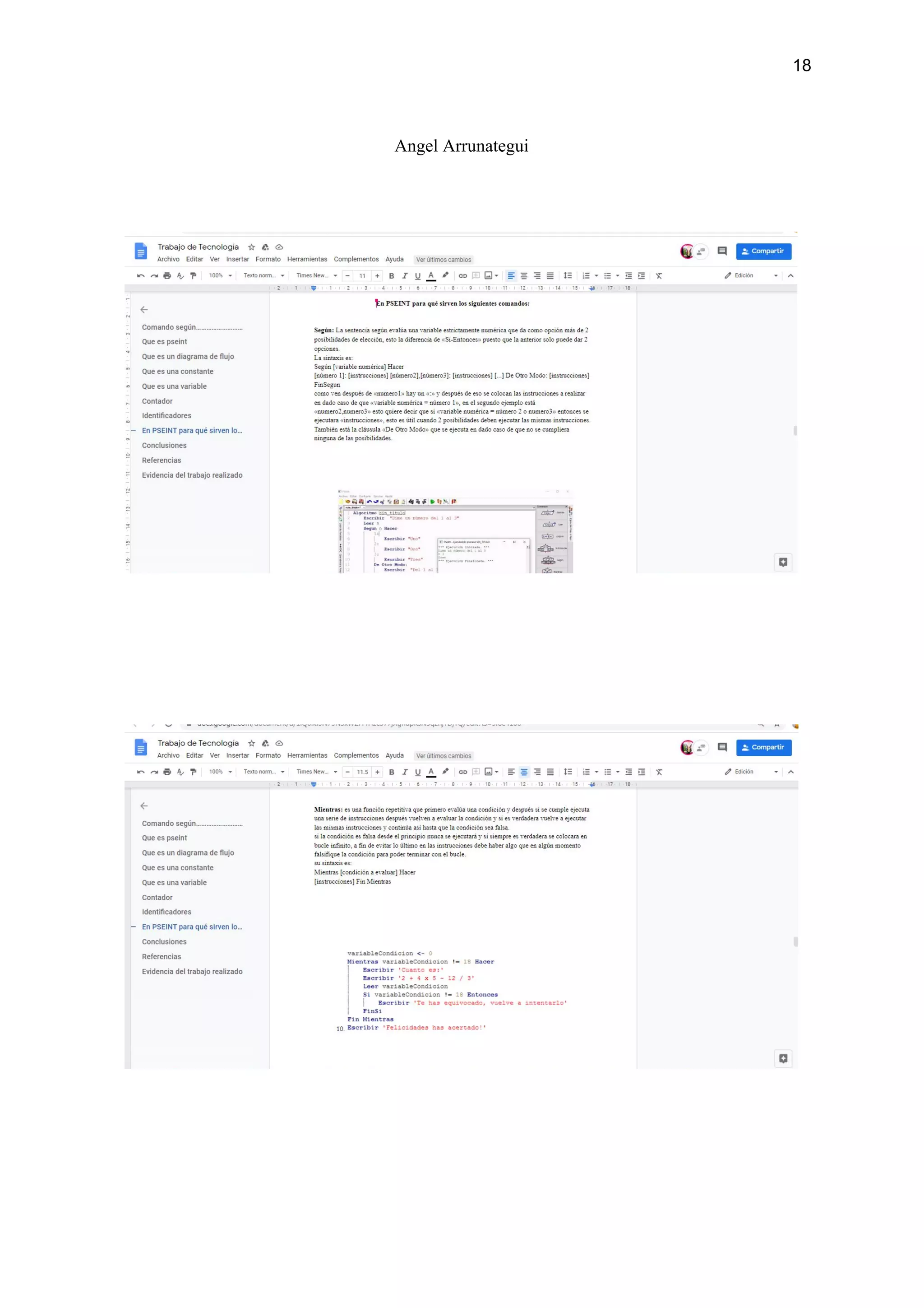 18
Angel Arrunategui
 