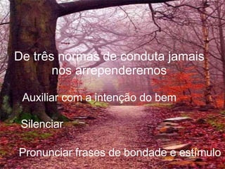 De três normas de conduta jamais nos arrependeremos Auxiliar com a intenção do bem Silenciar Pronunciar frases de bondade e estímulo 
