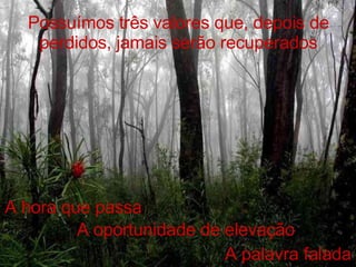 Possuímos três valores que, depois de perdidos, jamais serão recuperados A hora que passa A oportunidade de elevação A palavra falada 