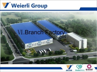 Ⅵ.Branch Factory
Ⅵ.Branch Factory
 