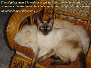 Si quelqu'un vient à la maison et que les chats sentent que cetteSi quelqu'un vient à la maison et que les chats sentent que cette
personne est malveillante, les chats nous entourent afin de nous mettrepersonne est malveillante, les chats nous entourent afin de nous mettre
en garde et nous protéger.en garde et nous protéger. ..
 