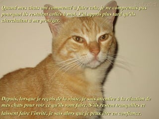 Quand mes chats ont commencé à faire cela, je ne comprenais pasQuand mes chats ont commencé à faire cela, je ne comprenais pas
pourquoi ils restaient collés à moi. J'ai appris plus tard qu'ilspourquoi ils restaient collés à moi. J'ai appris plus tard qu'ils
cherchaient à me protéger.cherchaient à me protéger.
Depuis, lorsque je reçois de la visite, je suis attentive à la réaction deDepuis, lorsque je reçois de la visite, je suis attentive à la réaction de
mes chats pour voir ce qu'ils vont faire. S’ils restent tranquilles etmes chats pour voir ce qu'ils vont faire. S’ils restent tranquilles et
laissent faire l’invité, je sais alors que je peux être en confiancelaissent faire l’invité, je sais alors que je peux être en confiance..
 