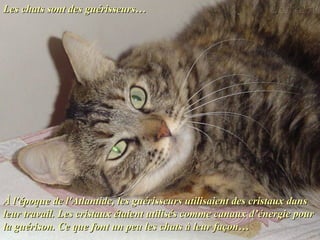 Les chats sont des guérisseurs…Les chats sont des guérisseurs…
À l'époque de l'Atlantide, les guérisseurs utilisaient des cristaux dansÀ l'époque de l'Atlantide, les guérisseurs utilisaient des cristaux dans
leur travail. Les cristaux étaient utilisés comme canaux d’énergie pourleur travail. Les cristaux étaient utilisés comme canaux d’énergie pour
la guérison. Ce que font un peu les chats à leur façon…la guérison. Ce que font un peu les chats à leur façon…
 