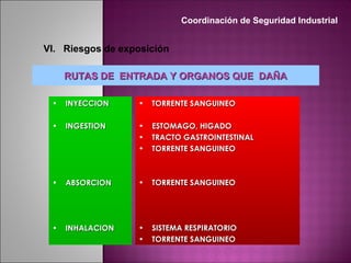 VI. Riesgos de exposición
• INYECCIONINYECCION
• INGESTIONINGESTION
• ABSORCIONABSORCION
• INHALACIONINHALACION
• TORRENTE SANGUINEOTORRENTE SANGUINEO
• ESTOMAGO, HIGADOESTOMAGO, HIGADO
• TRACTO GASTROINTESTINALTRACTO GASTROINTESTINAL
• TORRENTE SANGUINEOTORRENTE SANGUINEO
• TORRENTE SANGUINEOTORRENTE SANGUINEO
• SISTEMA RESPIRATORIOSISTEMA RESPIRATORIO
• TORRENTE SANGUINEOTORRENTE SANGUINEO
RUTAS DE ENTRADA Y ORGANOS QUE DAÑARUTAS DE ENTRADA Y ORGANOS QUE DAÑA
Coordinación de Seguridad Industrial
 