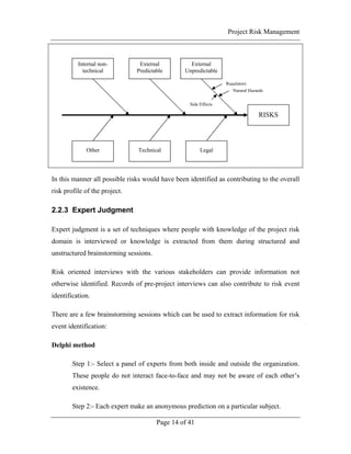 Expert Judgment Risk Technique Project Risk Management Handbook | PDF