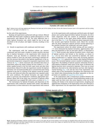 by the end of the experiments.
Rocking cell experiments performed with gas mixture, Mineral
Oil 200T and fresh water resulted in similar phenomena as in the
experiments with Mineral Oil 70T. The main difference was a
lower hydrate formation rate, which might be due to less gas
dissolved in the oil phase and higher viscosity resulting in less
mixing.
3.2. Results in experiments with condensate and fresh water
The experiments with the methaneþethane gas mixture,
condensate and fresh water resulted in similar pressure decrease
due to hydrate formation as the experiments with mineral oil.
However, more gas dissolves in condensate than mineral oil,
which resulted in more gas and water converting to hydrates be-
fore the pressure decreased to the hydrate equilibrium at the ex-
perimental temperature compared to equivalent experiments with
mineral oil. Fig. 11 shows measured and calculated data from an
experiment where the whole rocking cell was cooled to 1 °C. Hy-
drates rapidly formed in the ﬁrst hour upon onset and after then
slowed down. About 63 h after the experiment started, the hydrate
formation rate increased possibly due to unconverted water being
exposed to gas due to cracking of the deposit caused by tension.
This was also observed when the experiment was repeated under
the same conditions. The hydrate formation rate again slowed
down as pressure and temperature conditions approached equi-
librium. About 20% of the water was converted to hydrates when
the experiment was stopped 96 h after onset, as shown in Fig. 11.
The mechanisms for hydrate formation and deposition in the
experiments with condensate showed both similar and different
characteristics to those observed in the experiments with mineral
oil. In the experiments with condensate and fresh water, the liquid
phases were partly dispersed before hydrate formation. An oil in
water dispersion with low content of condensate (foam-like
structure) formed in the water phase before hydrate formation
due to the ﬂow (Fig. 12-A). This dispersion phase separated within
ﬁve seconds upon hydrate formation onset. About ﬁve seconds
after the phase separation, hydrate particles started appearing at
the interface between the condensate and water phases.
The experiments where the whole rocking cell was cooled to
1 °C were dominated by hydrate formation, agglomeration, bed-
ding and deposition in the oil and water phases, as illustrated in
Fig. 12. Thirty seconds after hydrate formation onset a thick layer
of hydrate particles had formed at the interface, as shown in
Fig. 12-B. As more water was converted to hydrates, the water
phase transformed to a hydrate slurry with increasing apparent
viscosity (Fig. 12-C, captured two minutes after hydrate formation
onset). The increased hydrate content resulted in bedding and no
liquid ﬂow. The bedding of hydrate particles ultimately formed a
solid deposit of hydrates when more of the water in-between the
hydrate particles were converted to hydrates. There was no visual
difference observed in the video between one hour after hydrates
started forming (Fig. 12-D) and the end of the experiment. One
edited video of the development throughout the experiment and
one edited video demonstrating the phase separation in this ex-
periment are available as Supporting information.
In the experiments with a temperature gradient between the
upper wall and the bath, hydrates started depositing mainly at the
upper wall, but there were also some deposits in the rest of the
rocking cell. Similar to the mineral oil experiments, sloughing and
agglomerates of hydrates in the liquid phase were also observed in
these experiments. For the experiment with condensate and fresh
Fig. 7. Hydrate slurry with large agglomerates ﬂowing in the lower part of the rocking cell about 30 min after hydrate formation onset in the experiment with the cooling
bath at 4 °C and upper cell surface at 1 °C.
Fig. 8. Sloughing and bedding: Hydrates attached to the surface in the upper left part of the window in the top image (A) sloughed off the wall and entered the oil phase
with bedded hydrates in the lower image (B) which was captured from the video ﬁve seconds later. Images are captured from the video of the experiment with the cooling
bath at 4 °C and upper cell surface at 1 °C.
E.O. Straume et al. / Chemical Engineering Science 155 (2016) 111–126 117
 