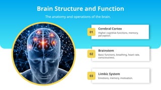 New Hitech Neurology PowerPoint Templates.pptx