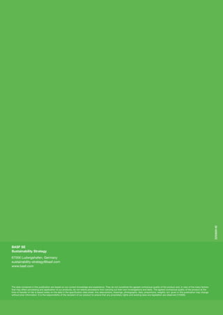 BASF_Brochure_Sustainable_Solution_Steering | PDF