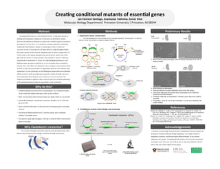 II.	
  	
  Condi)onal	
  mutant	
  strain	
  design	
  and	
  screening	
  
CreS
non-essential
MreB
essential
Crea)ng	
  condi)onal	
  mutants	
  of	
  essen)al	
  genes	
  
Jan	
  Clement	
  San)ago,	
  Anastasiya	
  Yakhnina,	
  Zemer	
  Gitai	
  
Molecular	
  Biology	
  Department|	
  Princeton	
  University	
  |	
  Princeton,	
  NJ	
  08544	
  
Abstract	
   Methods	
   Preliminary	
  Results	
  
References	
  
Acknowledgements	
  
Creating deletion strains is a well-established method to study gene function by
enabling direct phenotypic comparisons of wild-type cells and deletion mutants.
However, the usefulness of deletions as a genetic tool is limited to genes not essential to
the organism’s survival. Here, we’ve designed a convenient method for constructing
conditionally lethal depletion mutants of essential genes found in Caulobacter
crescentus in order to screen them for cell shape defects in a high-throughput fashion.
We created a genetic system where the endogenous gene of interest is tagged with ssrA,
which encodes a short peptide degradation tag, and introduced another copy of that
gene under the control of a xylose promoter. Thus, the gene of interest is effectively
expressed only in the presence of xylose. For a high-throughput generation of such
depletion strains, each gene is cloned by an in vivo LR reaction from a Caulobacter
Gateway entry vector library into destination vectors encoding a xylose promoter and an
in-frame ssrA tag. This process allows for significantly faster and more efficient vector
construction. As a test of principle, we tried depleting two genes whose loss-of-function
effects are known: mreB, an essential gene required for normal cell width; and creS, a
non-essential gene whose deletion causes Caulobacter to lose its curvature. This
method can potentially be applied to other systems to study loss-of-function phenotypes
of all essential genes that are otherwise inaccessible to study via deletion.
recipient cells in Kan & Rif media
I.	
  	
  Expression	
  vector	
  construc)on	
  
	
  Our	
  lab	
  developed	
  an	
  in	
  vivo	
  variaBon	
  of	
  the	
  	
  Invitrogen	
  Gateway®	
  	
  cloning	
  system	
  	
  to	
  allow	
  for	
  
eﬃcient	
  	
  vector	
  construcBon	
  in	
  a	
  high-­‐throughput	
  fashion.	
  	
  	
  
gene A
ssrAP xyl
gene A
Kanr
no xylose
no xylose
with xylose
with xylose
•  TradiBonal	
  deleBons	
  cannot	
  be	
  done	
  on	
  essenBal	
  genes	
  ,	
  but	
  	
  condiBonal	
  mutants	
  
can	
  be	
  created	
  that	
  deplete	
  these	
  genes	
  under	
  certain	
  condiBons	
  
•  Many	
  	
  structural	
  genes	
  determining	
  cell	
  shape,	
  size,	
  length,	
  width,	
  etc,	
  are	
  essenBal	
  
•  Exactly	
  480	
  Caulobacter	
  	
  essenBal	
  genes	
  have	
  been	
  	
  idenBﬁed	
  	
  out	
  of	
  	
  3,763	
  total	
  	
  
genes	
  (12.75%)	
  
•  There’s	
  only	
  liZle	
  informaBon	
  	
  on	
  what	
  role	
  most	
  of	
  these	
  genes	
  play	
  in	
  cell	
  shape/
structure	
  
•  Our	
  lab	
  has	
  an	
  ORFeome	
  library	
  of	
  all	
  C.	
  crescentus	
  	
  genes,	
  each	
  in	
  individual	
  
Gateway	
  ®	
  compaBble	
  vectors	
  
•  This	
  allows	
  for	
  rapid,	
  high-­‐throughput	
  	
  screening	
  	
  to	
  study	
  the	
  eﬀects	
  of	
  all	
  essenBal	
  
genes	
  on	
  cell	
  shape	
  
Rifr
ccdBs
Kanr
Rifr
ccdBs
Possible plasmid products:
Rifr
ccdBs
via conjugation
chromosome
gene A gene A
in presence of xylose
Kan
r
degraded protein product
Caulobacter crescentus (ΔPxyl)
in 96-well plates with xylose
media
(automated) imaging; screen
for cell shape defects
culture overnight, wash,
grow on few hours without
xylose
homologous
recombination
wt Δ creS
MreB
depletion
Christen, B., Abeliuk, E., Collier, J. M., Kalogeraki, V. S., Pasarelli, B., Collier J. A.,
Fero, M.J., McAdams, H.H., Shapiro L. (2011) The essential genome of a bacterium.
Molecular Systems Biology, 7: 528,. doi: 10.1038/msb.2011.58
Werner, J.N., Chen, E.Y., Guberman, J.M., Zippilli, A.R., Irgon J.J., Gitai, Z. (2009).
Quantitative genome-scale analysis of protein localization in an asymmetric
bacterium. Proceedings of the National Academy of Sciences, 106(19), 7858-7863.
doi: 10.1073/pnas.0901781106
wt
Ø  Both showing ΔcreS phenotype; creS not being expressed at all, with or
without xylose!
Ø  Both showing wt phenotype!
Ø  Several cultures of mutant mreB didn’t grow even with xylose
Ø  Only those that grew are pictured here, presumably wt for mreB that
somehow survived selection
Ø  Probably mreB was not expressed in mutants, which died since mreB is
essential
Ø  Possiblilitiy: since att site is also translated, it could have interfered with
protein folding
Why	
  do	
  this?	
  
Why	
  Caulobacter	
  crescentus?	
  
	
  It’s	
  a	
  curved,	
  rod-­‐shaped,	
  asymmetric	
  bacterium	
  with	
  two	
  disBnct	
  poles,	
  which	
  
makes	
  it	
  easy	
  to	
  study	
  and	
  track	
  changes	
  in	
  bacterial	
  cell	
  shape	
  and	
  structure.	
  	
  
I would like to acknowledge Princeton Summer Undergraduate Research Program and
its sponsors, Princeton Molecular Biology Department, Lewis-Sigler Institute of
Integratative Genomics and Howard Hughes Medical Institute, for the research
opportunity this summer. I’m thanking the lab members of my host lab, my principal
investigator Zemer Gitai, and most of all my adviser Anastasiya Yakhnina for their
advice, time, and tireless support for this project.
attR1 attR2
destination
vector
Cut and ligate
in ssrA, a peptide signal
for proteasomal
degradation
P
xyl
CC 0001
entry vector
CC 0002
CC 0003
attL1 attL2
Gateway compatible C. crescentus
ORFeome library
Kan
r
In vivo LR reaction
+Xis
+Int
ccdBr
destination vector
host cell
entry vector host cell
conjugations
recipient cell
Rifr
ccdBs
ccdB toxin
“Gateway”
cassette
 