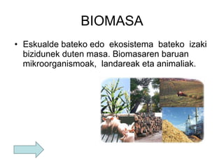 BIOMASA Eskualde bateko edo  ekosistema  bateko  izaki  bizidunek duten masa. Biomasaren baruan mikroorganismoak,  landareak eta animaliak. 