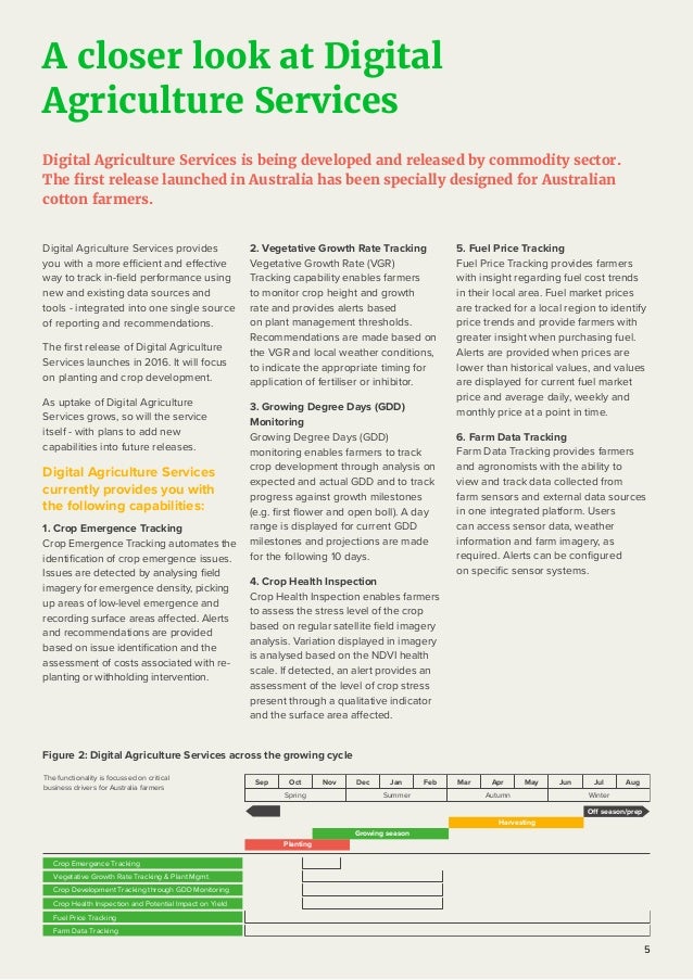 Digital Agriculture Services For Cotton Information Brochure