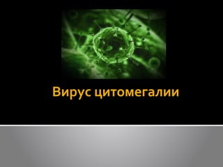 Вирус цитомегалии
 