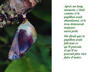 Après un long moment, c’était comme si le papillon avait abandonné, et le trou demeurait toujours  aussi petit. On dirait que le papillon avait fait tout ce  qu’il pouvait,  et qu’il ne pouvait plus rien faire d’autre. 
