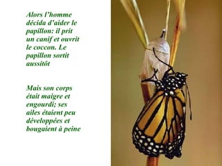 Alors l’homme décida d’aider le papillon: il prit un canif et ouvrit le coccon. Le papillon sortit aussitôt Mais son corps était maigre et engourdi; ses ailes étaient peu développées et bougaient à peine 