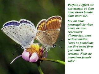 Parfois, l’effort est exactement ce dont nous avons besoin dans notre vie. Si l’on nous permettait de vivre notre vie sans rencontrer d’obstacles, nous serions limités. Nous ne pourrions pas être aussi forts que nous le sommes. Nous ne pourrions jamais voler 