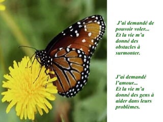 J’ai demandé de pouvoir voler... Et la vie m’a donné des obstacles à surmonter. J’ai demandé l’amour... Et la vie m’a donné des gens à aider dans leurs problèmes. 
