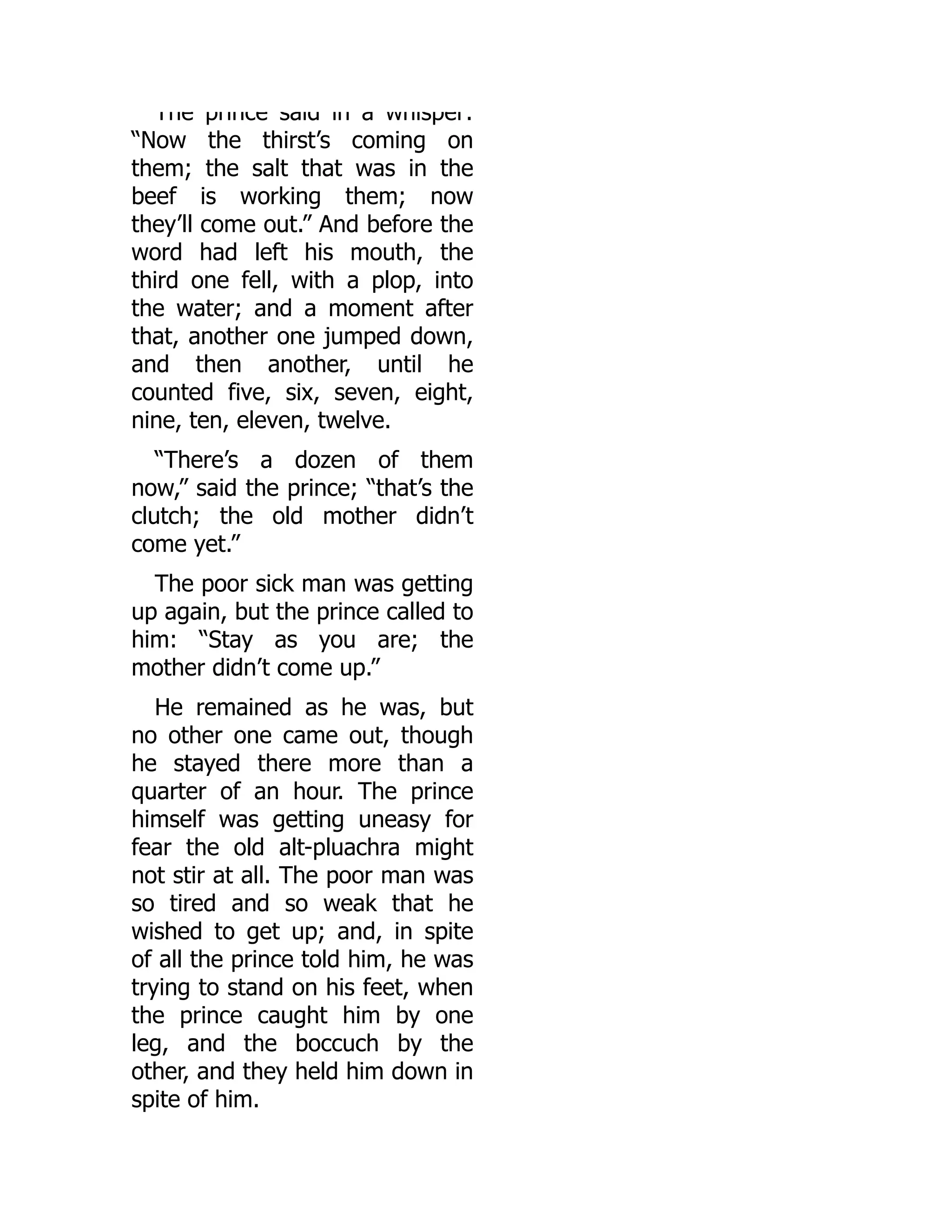 The prince said in a whisper:
“Now the thirst’s coming on
them; the salt that was in the
beef is working them; now
they’ll come out.” And before the
word had left his mouth, the
third one fell, with a plop, into
the water; and a moment after
that, another one jumped down,
and then another, until he
counted five, six, seven, eight,
nine, ten, eleven, twelve.
“There’s a dozen of them
now,” said the prince; “that’s the
clutch; the old mother didn’t
come yet.”
The poor sick man was getting
up again, but the prince called to
him: “Stay as you are; the
mother didn’t come up.”
He remained as he was, but
no other one came out, though
he stayed there more than a
quarter of an hour. The prince
himself was getting uneasy for
fear the old alt-pluachra might
not stir at all. The poor man was
so tired and so weak that he
wished to get up; and, in spite
of all the prince told him, he was
trying to stand on his feet, when
the prince caught him by one
leg, and the boccuch by the
other, and they held him down in
spite of him.
 