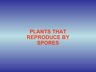 PLANTS THAT REPRODUCE BY SPORES 