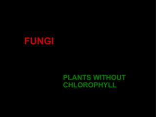 FUNGI PLANTS WITHOUT CHLOROPHYLL 