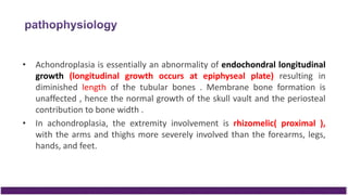 • Achondroplasia is essentially an abnormality of endochondral longitudinal
growth (longitudinal growth occurs at epiphyseal plate) resulting in
diminished length of the tubular bones . Membrane bone formation is
unaffected , hence the normal growth of the skull vault and the periosteal
contribution to bone width .
• In achondroplasia, the extremity involvement is rhizomelic( proximal ),
with the arms and thighs more severely involved than the forearms, legs,
hands, and feet.
 