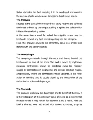 24
Saliva lubricates the food enabling it to be swallowed and contains
the enzyme ptyalin which serves to begin to break down starch.
The Pharynx
Situated at the back of the nose and oral cavity receives the softened
food mass or bolus by the tongue pushing it against the palate which
initiates the swallowing action.
At the same time a small flap called the epiglottis moves over the
trachea to prevent any food particles getting into the windpipe.
From the pharynx onwards the alimentary canal is a simple tube
starting with the salivary glands.
The Oesophagus
The oesophagus travels through the neck and thorax, behind the
trachea and in front of the aorta. The food is moved by rhythmical
muscular contractions known as peristalsis (wave-like motions)
caused by contractions in longitudinal and circular bands of muscle.
Antiperistalsis, where the contractions travel upwards, is the reflex
action of vomiting and is usually aided by the contraction of the
abdominal muscles and diaphragm.
The Stomach
The stomach lies below the diaphragm and to the left of the liver. It
is the widest part of the alimentary canal and acts as a reservoir for
the food where it may remain for between 2 and 6 hours. Here the
food is churned over and mixed with various hormones, enzymes
 