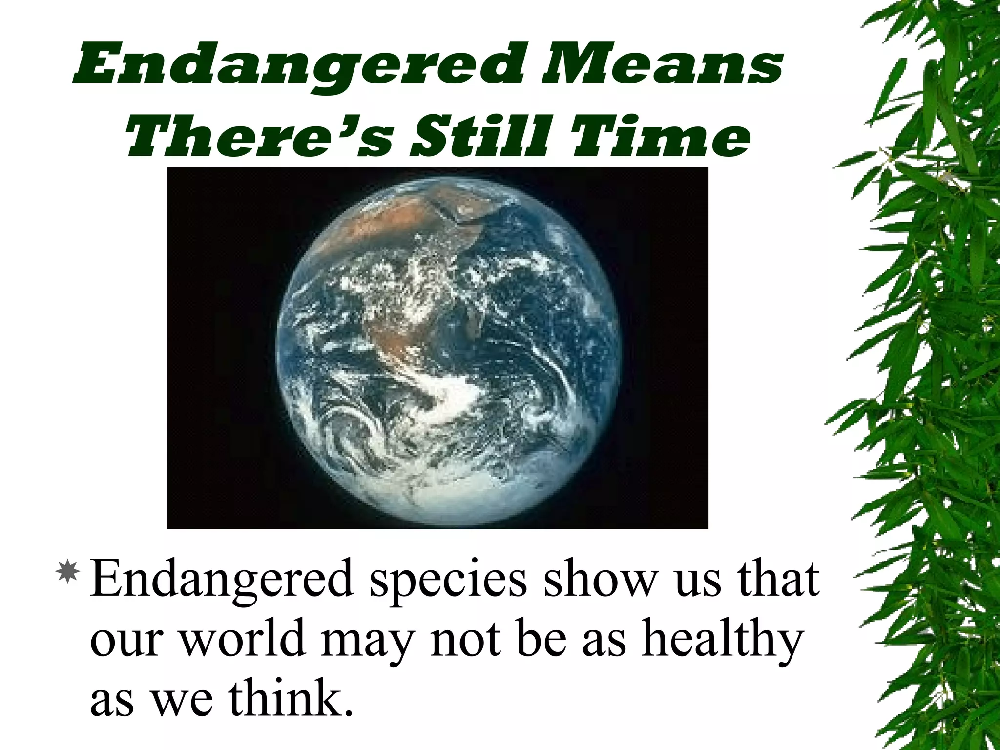 Endangered Means
 There’s Still Time




 Endangered  species show us that
 our world may not be as healthy
 as we think.
 