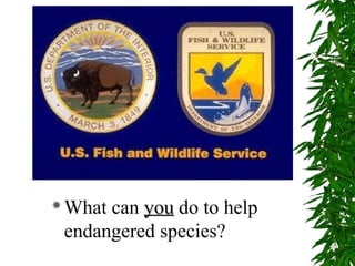 endangered animals
