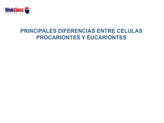 PRINCIPALES DIFERENCIAS ENTRE CELULAS
PROCARIONTES Y EUCARIONTES
 