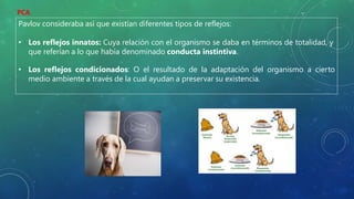 Pavlov consideraba así que existían diferentes tipos de reflejos:
• Los reflejos innatos: Cuya relación con el organismo se daba en términos de totalidad, y
que referían a lo que había denominado conducta instintiva.
• Los reflejos condicionados: O el resultado de la adaptación del organismo a cierto
medio ambiente a través de la cual ayudan a preservar su existencia.
PCA
 