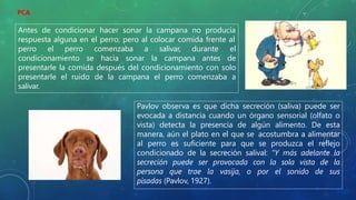 Antes de condicionar hacer sonar la campana no producía
respuesta alguna en el perro; pero al colocar comida frente al
perro el perro comenzaba a salivar, durante el
condicionamiento se hacia sonar la campana antes de
presentarle la comida después del condicionamiento con solo
presentarle el ruido de la campana el perro comenzaba a
salivar.
Pavlov observa es que dicha secreción (saliva) puede ser
evocada a distancia cuando un órgano sensorial (olfato o
vista) detecta la presencia de algún alimento. De esta
manera, aún el plato en el que se acostumbra a alimentar
al perro es suficiente para que se produzca el reflejo
condicionado de la secreción salival: "Y más adelante la
secreción puede ser provocada con la sola vista de la
persona que trae la vasija, o por el sonido de sus
pisadas (Pavlov, 1927).
PCA
 